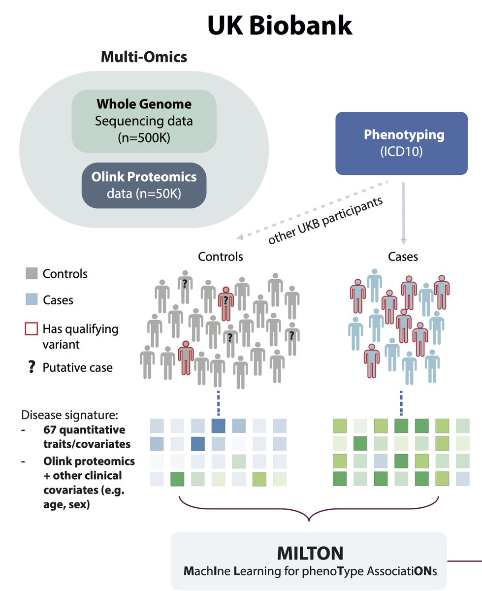 Dimitrios Vitsios (@dimvitsios) on Twitter photo Thrilled to see our latest research on early disease prediction, biomarker discovery and novel target detection published in <a href="/NatureGenet/">Nature Genetics</a>! 🚀 🎉
nature.com/articles/s4158…
<a href="/AstraZeneca/">AstraZeneca</a> #CGR #MachineLearning #Biomarkers #AI #UKBiobank #HealthcareInnovation #DataScience Thrilled to see our latest research on early disease prediction, biomarker discovery and novel target detection published in <a href="/NatureGenet/">Nature Genetics</a>! 🚀 🎉
nature.com/articles/s4158…
<a href="/AstraZeneca/">AstraZeneca</a> #CGR #MachineLearning #Biomarkers #AI #UKBiobank #HealthcareInnovation #DataScience