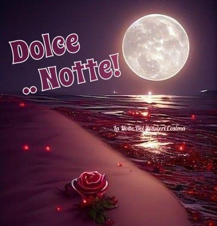 RITABIANCHi56 tweet media