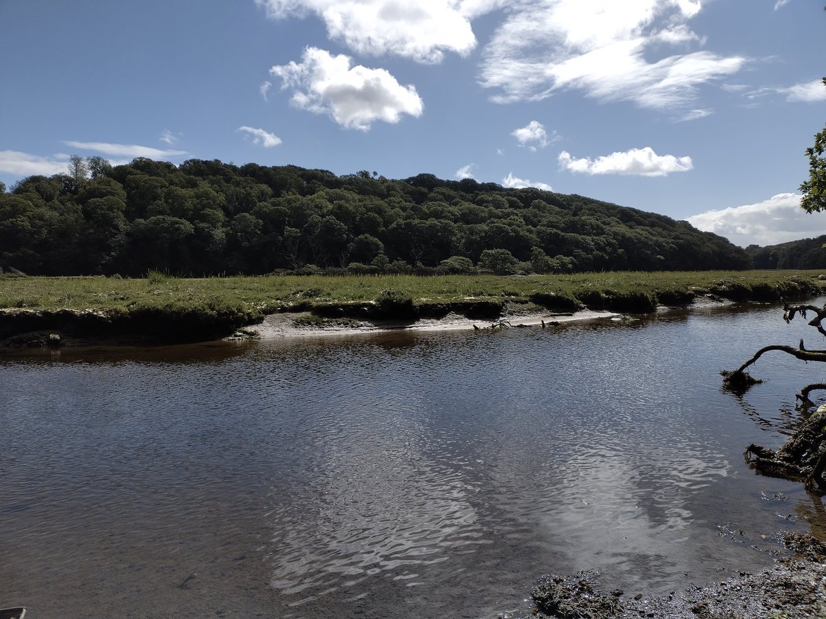 _RachelTurnbull's tweet photo. September #seabass expedition 1 day 3 @PlymUni! A lovely day on the Erme with many mullet (I'm starting to see a theme), gobies, a fabulous sandeel, and a whopping 4 bass! @PlymUni #FHRU https://t.co/Oo6cjdI95u