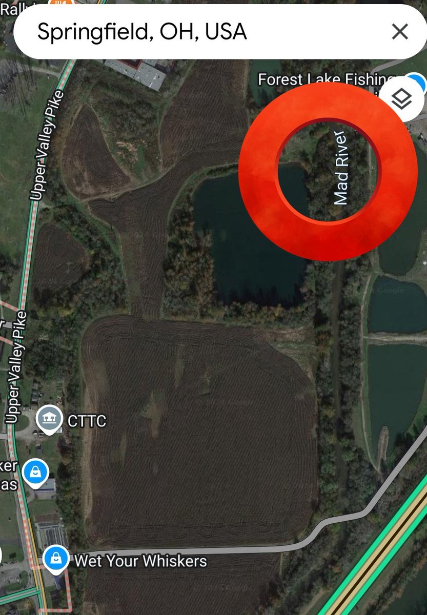 On closer inspection, I think it may be the case that there's something in the water in this #SpringfieldOhio place to make people believe pets 🐶😺are being eaten.