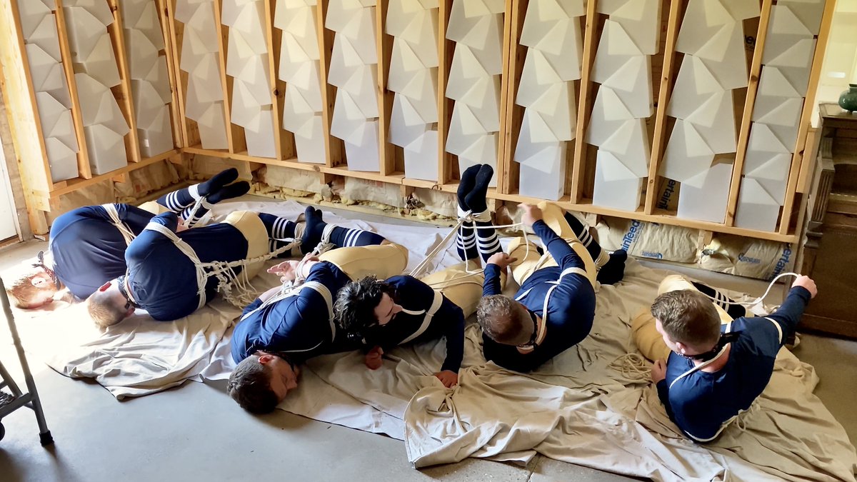 Taylor Bound tweet media