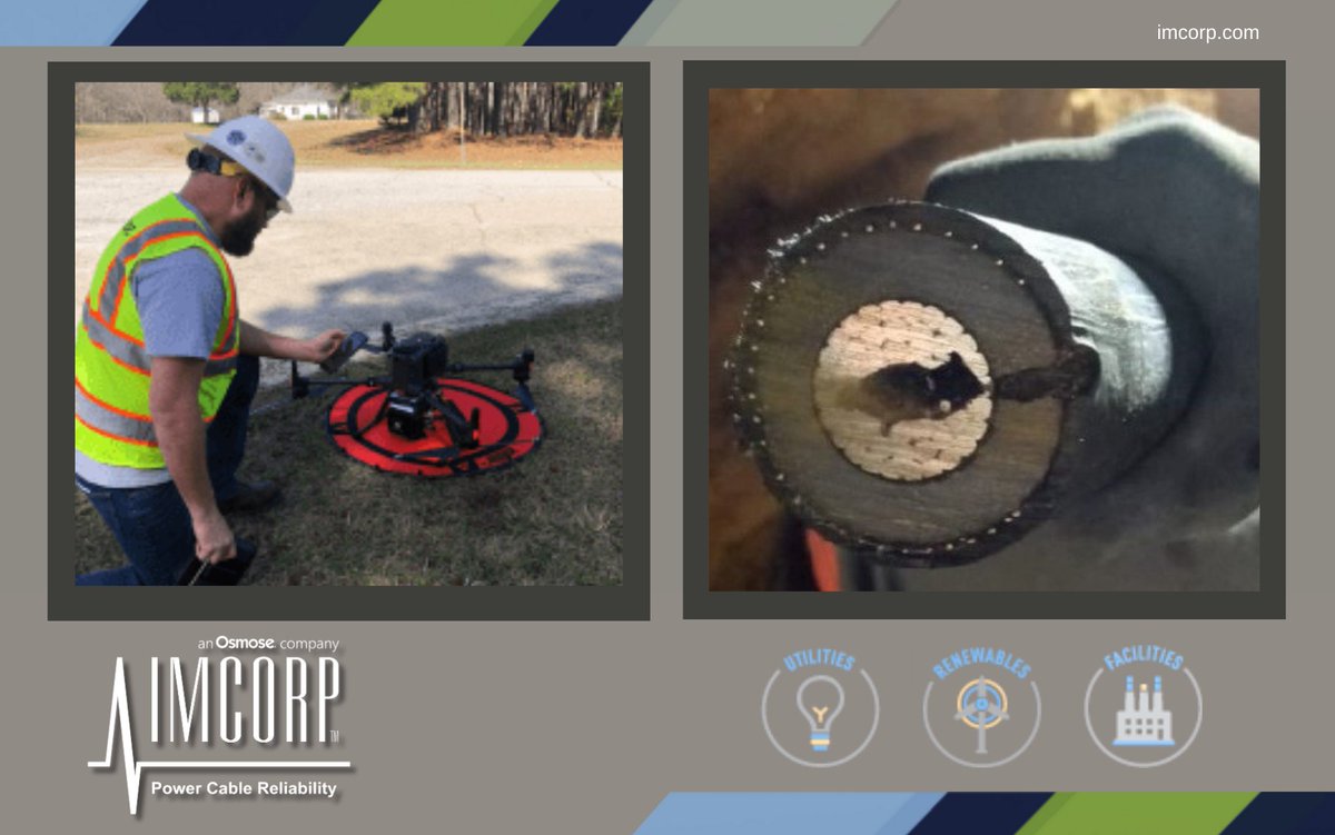 Visit Booth #41 at WEI's OHUG conference this month to learn how our services optimize #underground #cable systems! We'll be exhibiting with our parent company, Osmose.

Learn more about our services: imcorp.com

#WesternEnergyInstitute #energy #utility #PD #better