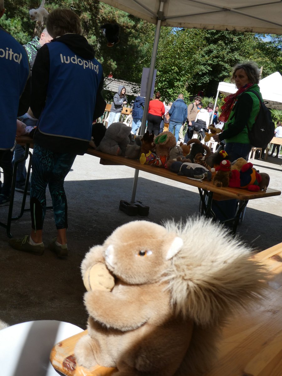 martin derieker tweet media