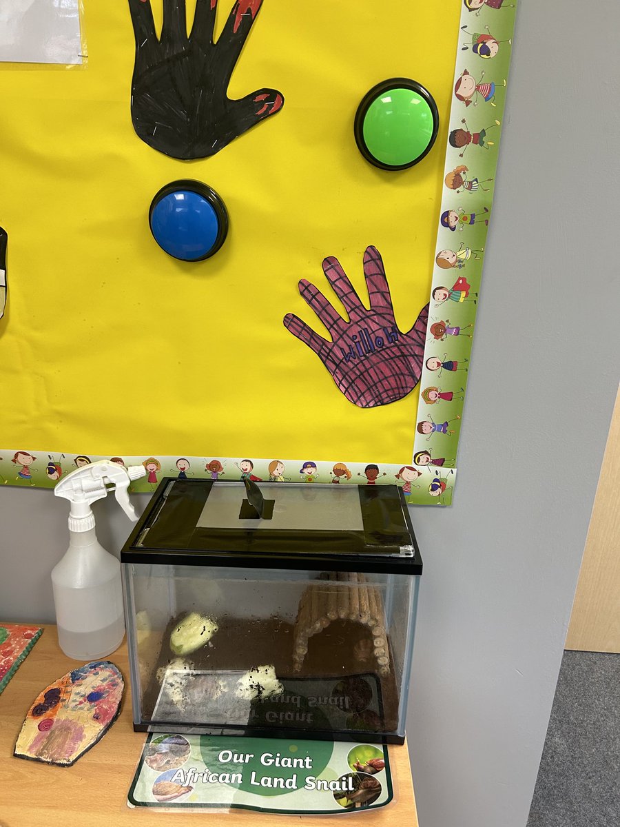 Acorn SEND (@acornsend) on Twitter photo Fab use of alternative ways of recording <a href="/ClarendonAcad/">The Clarendon Academy</a> resource base. Sound buttons on displays where students have recorded their learning to share. <a href="/acornedtrust/">Acorn Education Trust</a> #neurodiversity Fab use of alternative ways of recording <a href="/ClarendonAcad/">The Clarendon Academy</a> resource base. Sound buttons on displays where students have recorded their learning to share. <a href="/acornedtrust/">Acorn Education Trust</a> #neurodiversity