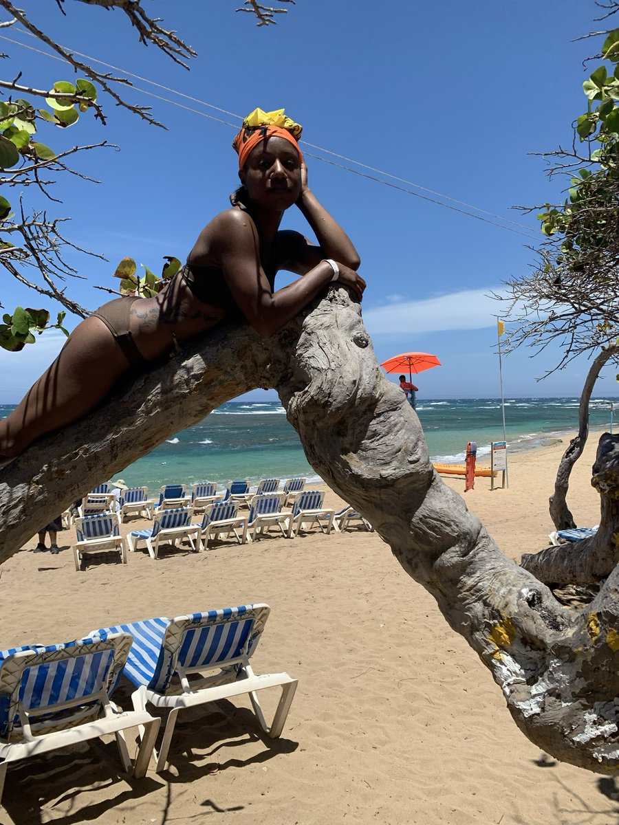 kivonshe's tweet photo. #TimeInATree is my #RaleighRitchie song of the day
The pics tell it all. When I 1st heard this song I wanted to find a tree immediately n just climb. Since I was a kid it was my escape n safe space in a noisy world. I will never grow out of this https://t.co/NQqXMHvv0t