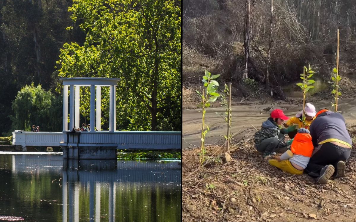 Diario El Observador tweet media