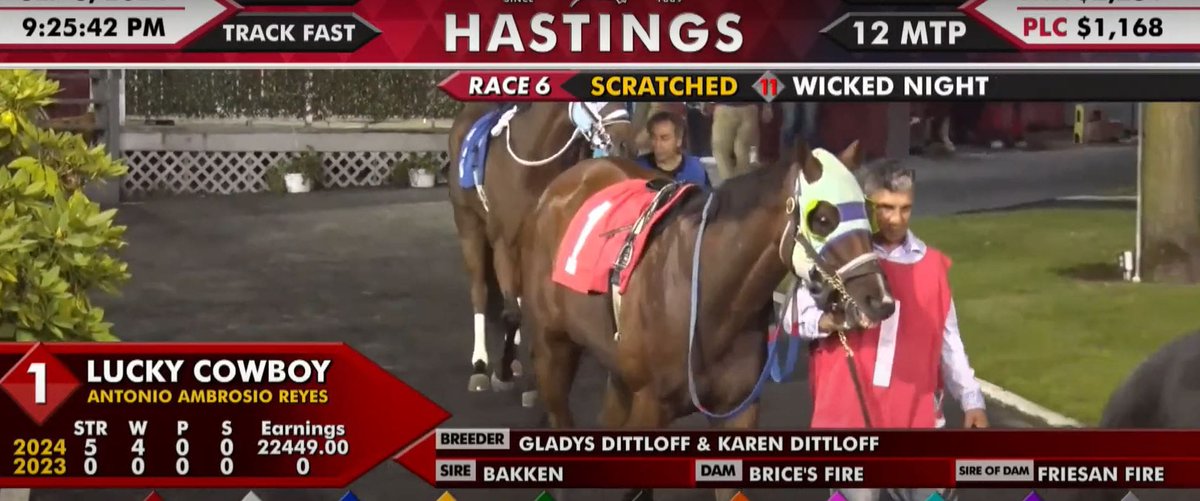 .@vanhumane:  Two incidents in one day at Hastings Racecourse; horse euthanized  dlvr.it/TD6t7T