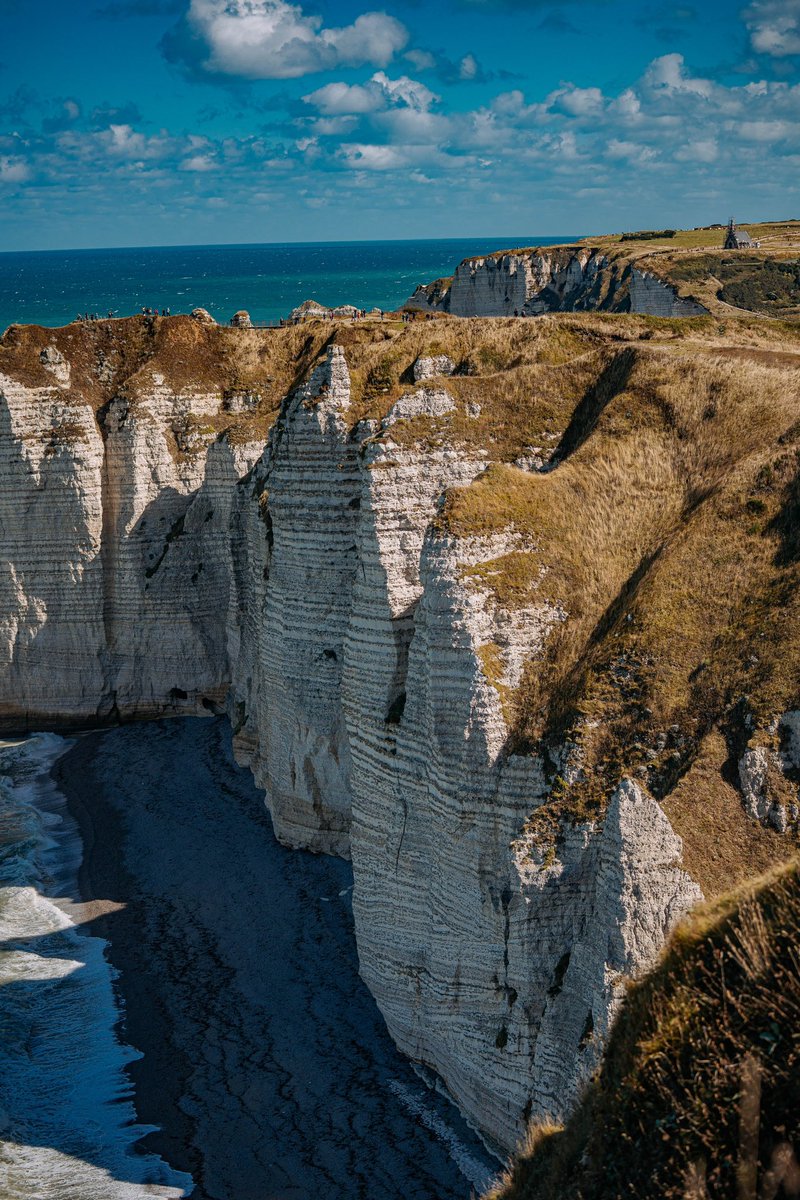 маленькая мышь в уютной норке tweet media