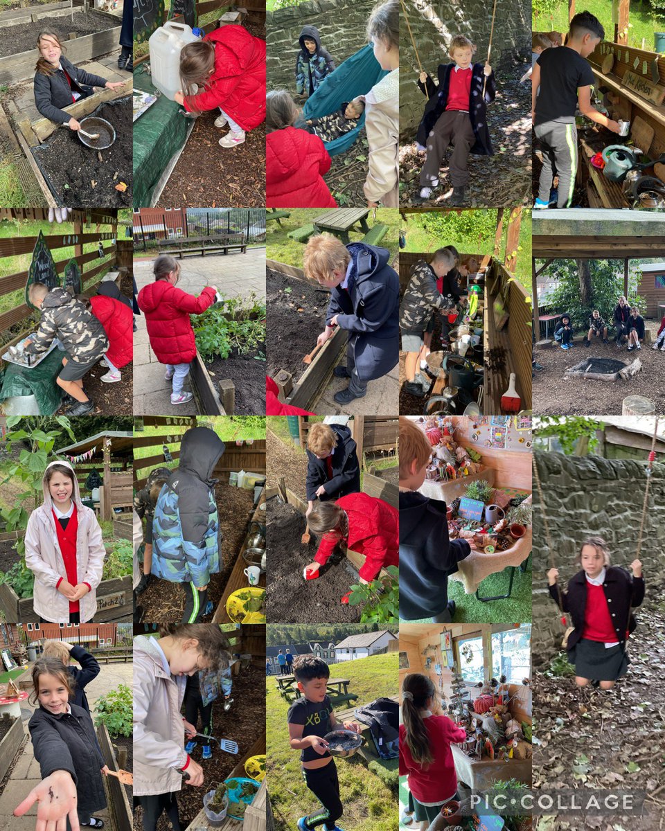 Ysgol Hen Felin tweet media