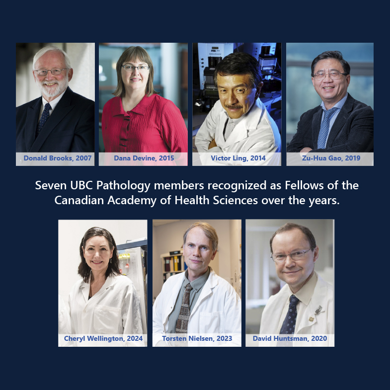 We’re proud to have 7 UBC Pathology members recognized as Fellows of the Canadian Academy of Health Sciences, with Dr. Wellington joining in 2024! This reflects the stimulating, collaborative environment where innovation thrives.  #UBCPathology #ResearchExcellence #HealthSciences