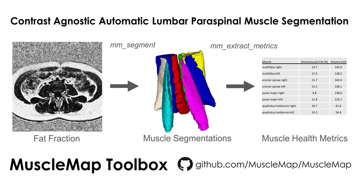 MuscleMap Toolbox (@musclemaptools) on Twitter photo 4/5 Dixon fat fraction example. 4/5 Dixon fat fraction example.
