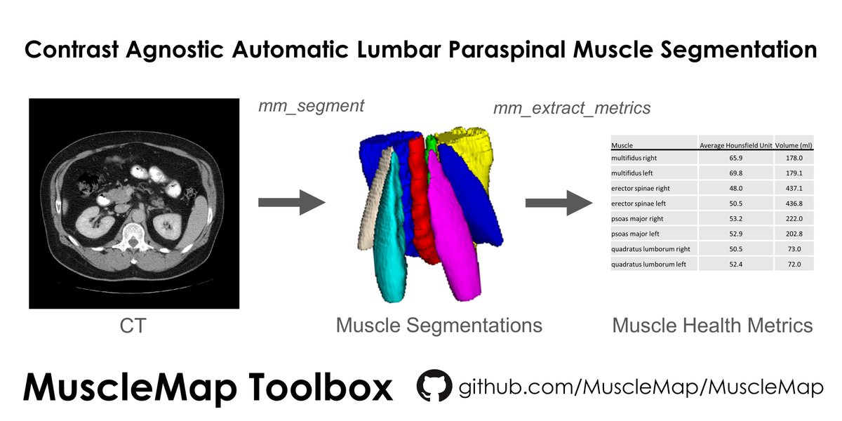 MuscleMap Toolbox (@musclemaptools) on Twitter photo 5/5 CT example. 5/5 CT example.