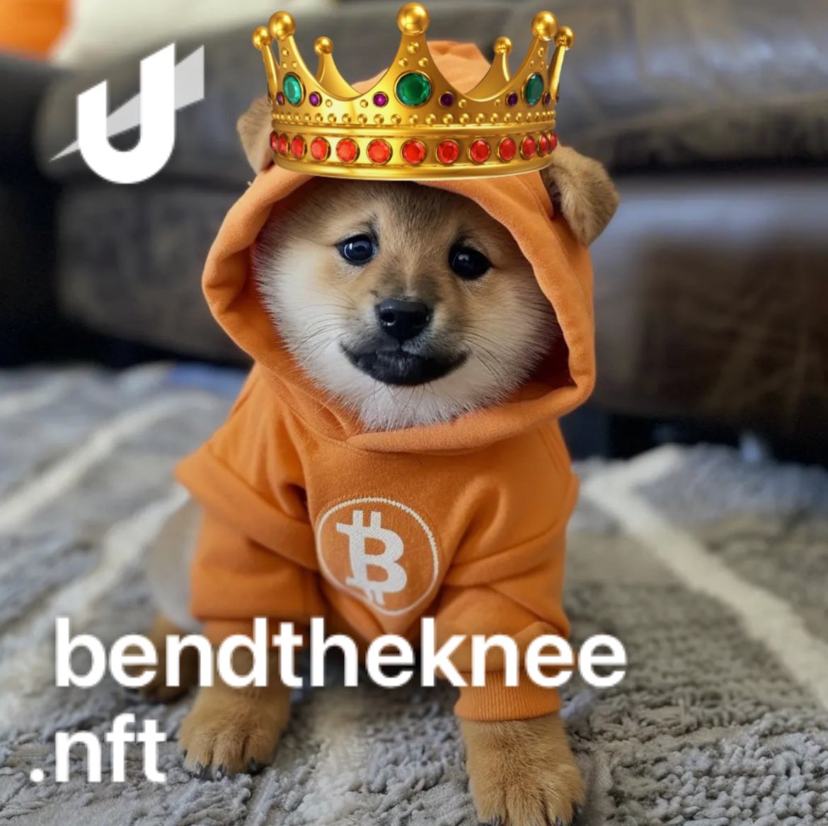 enstroll's tweet photo. ᛤ 🟧🐕 #runestone #stonedaf #getstoned #runes #freeandfair #bendtheknee #runesprotocol $DOG 🐕 @unstoppableweb
DOG•GO•TO•THE•MOON https://t.co/uhjsh2PLSR