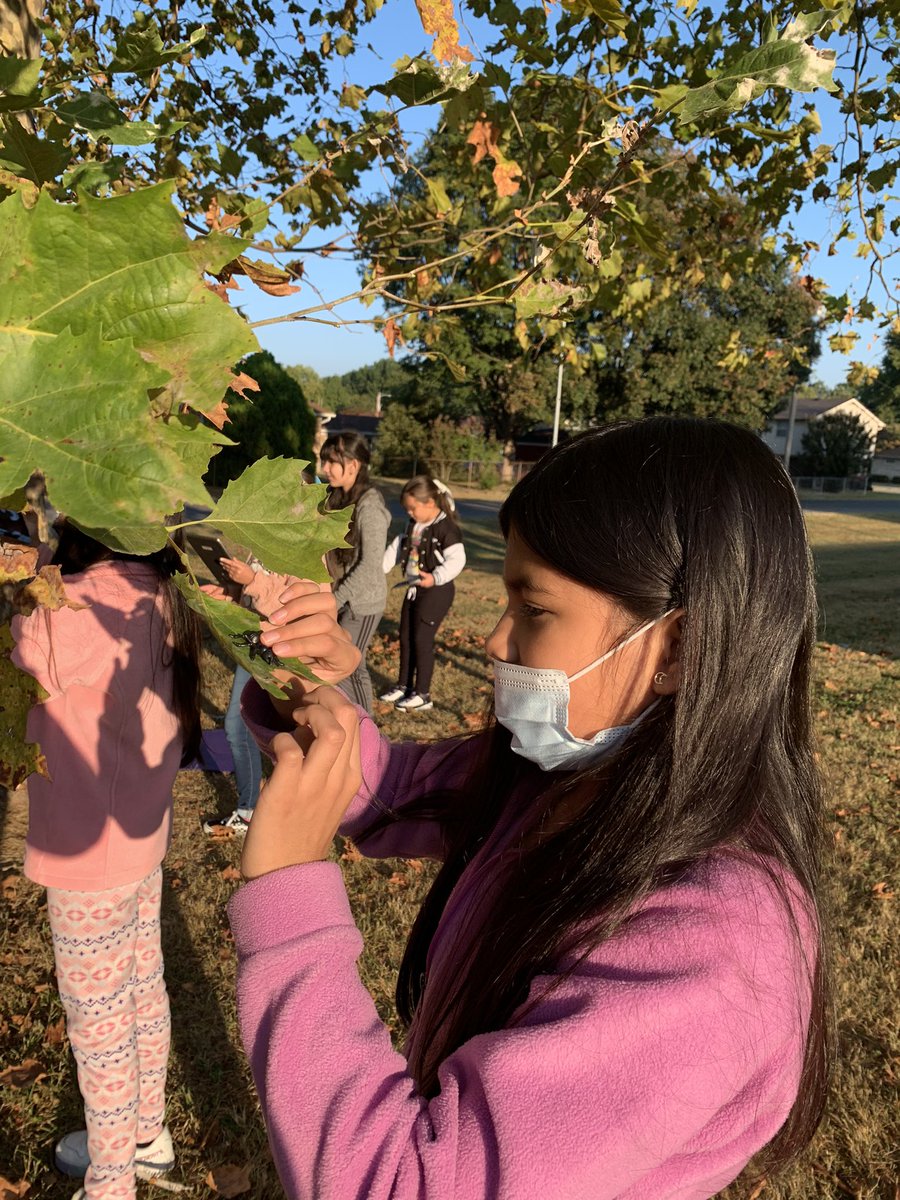 cindy_hundley's tweet photo. Day 3: An ant’s perspective. So much creativity as students photographed their “ant” in and around nature. Books coming soon! 🐜📸🌲🍁 @GutermuthES  @JCASLKY  @JCPS_LMS #antspersective  #ants #naturesclassroom #outdooreducation https://t.co/nbogZrbn8I