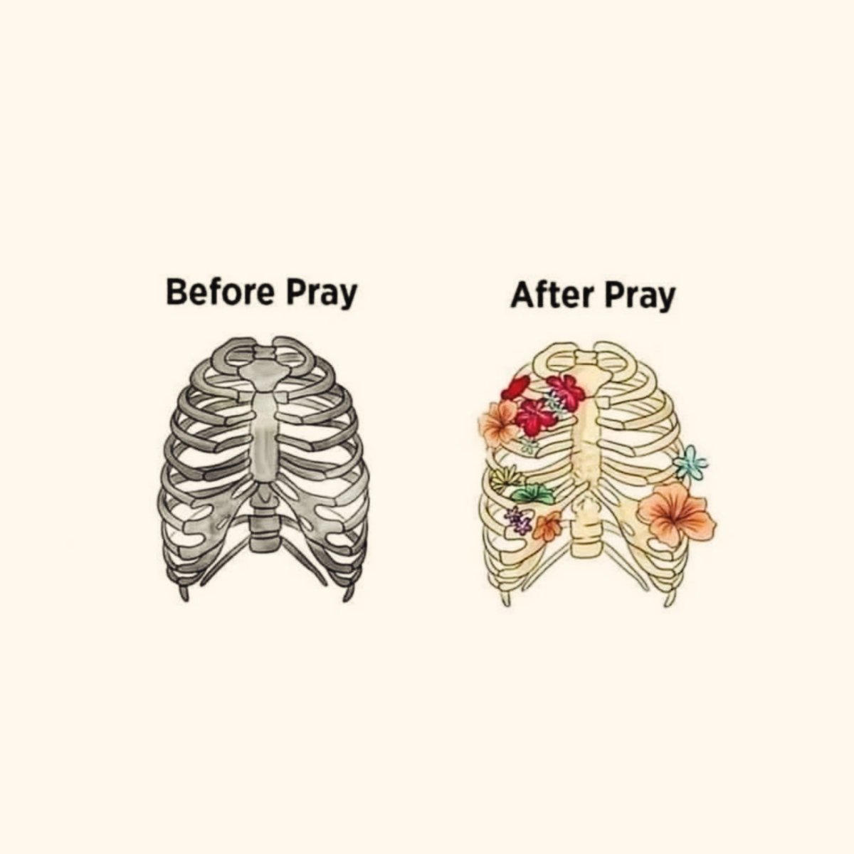 Mind Essentials (@mind_essentials) on Twitter photo 