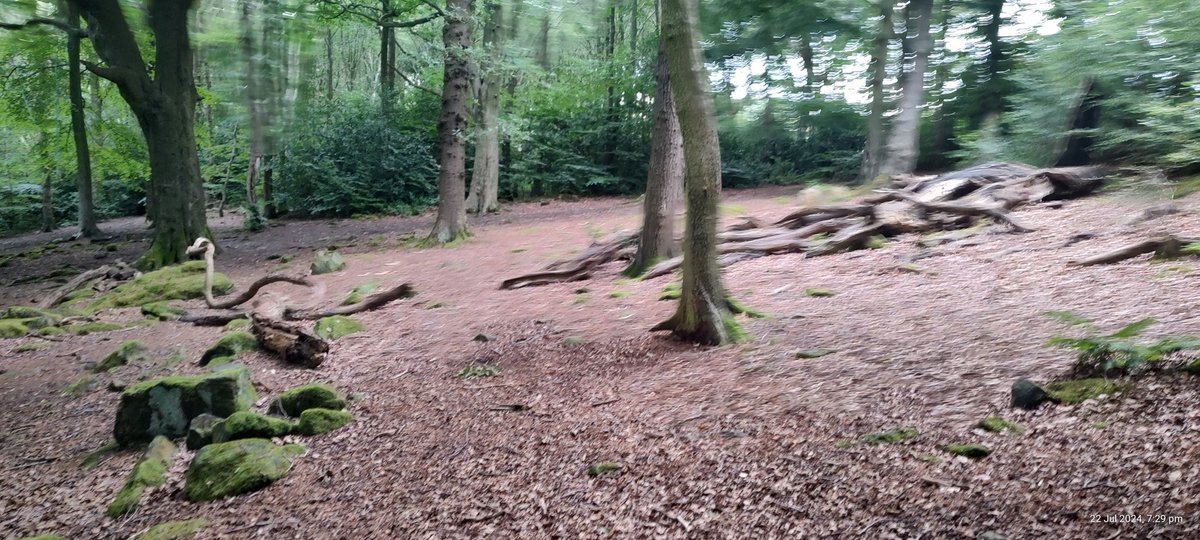 MrD_Computing's tweet photo. Today's walking photo's ,can you spot the ancient engraving in the rock? https://t.co/LiqXYGdHBp