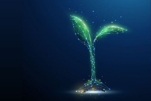 Réinventer le numérique: une formation pour un futur écoresponsable bit.ly/4e11e7S