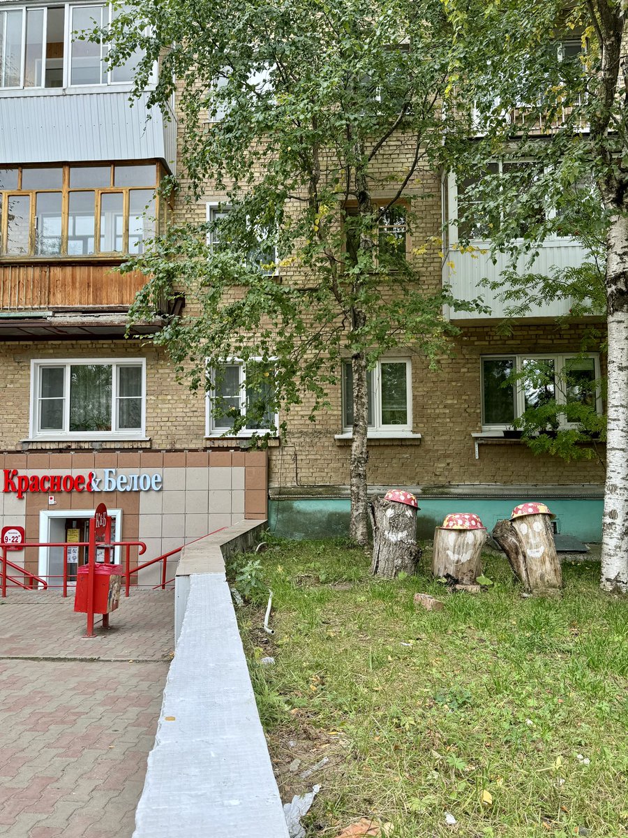 Встретил этих ребят в Ухте. Клянусь, они обязаны стать маскотами КБ!