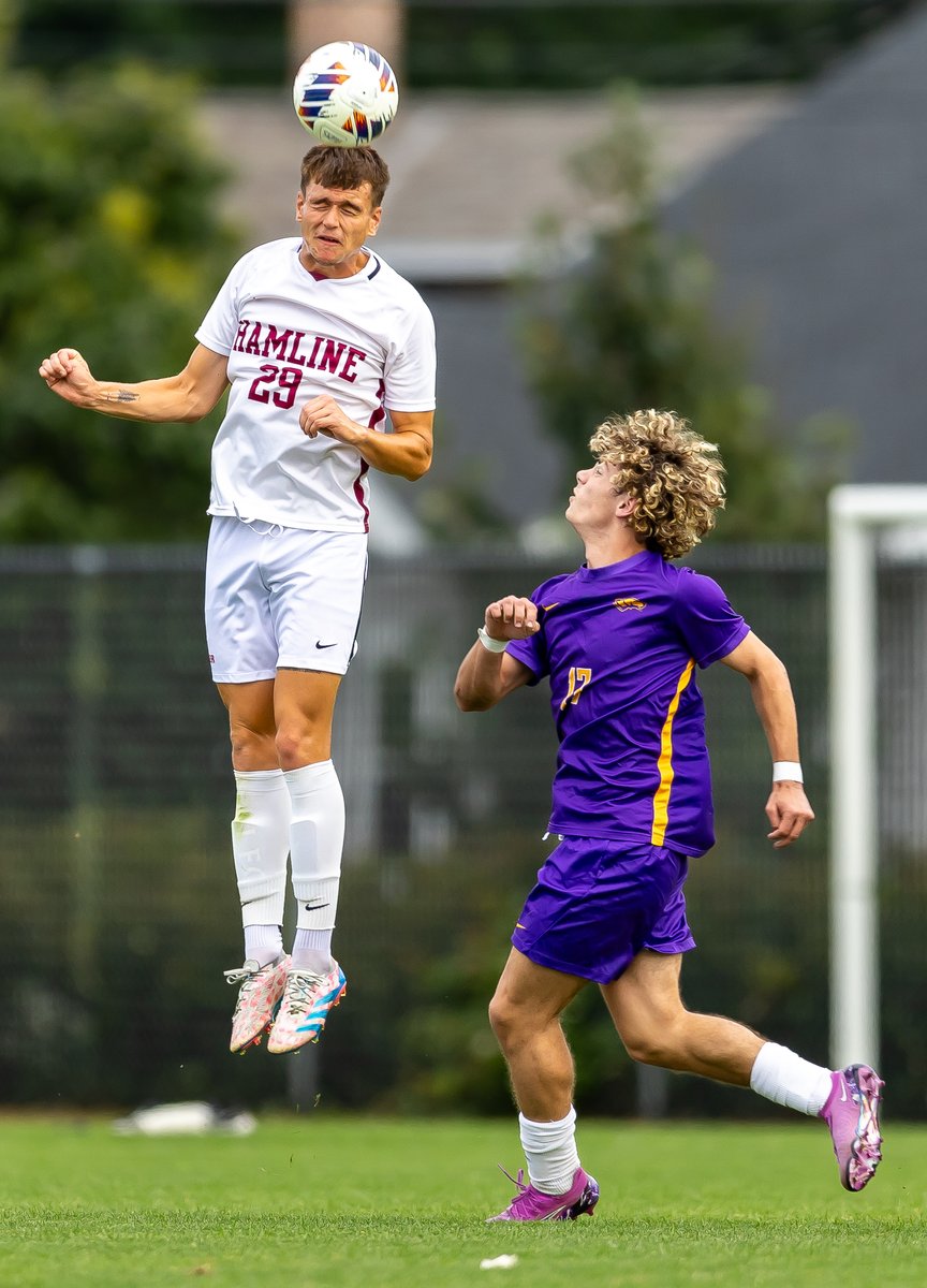 AggPhoto tweet media