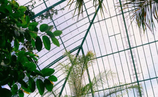 Ressource proposée par des enseignants : les idées reçues sur l'effet de serre.
Cette activité repose sur un extrait interactif (H5P) de l’émission « On n’est pas que des Cobayes ».
ww2.ac-poitiers.fr/sc_phys/spip.p…