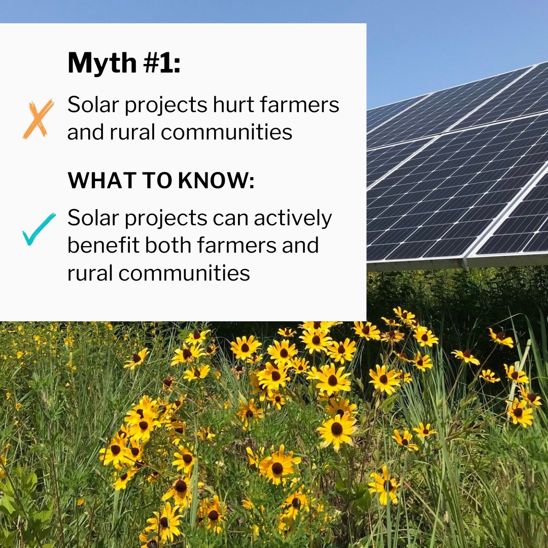 Sun Tribe tweet media