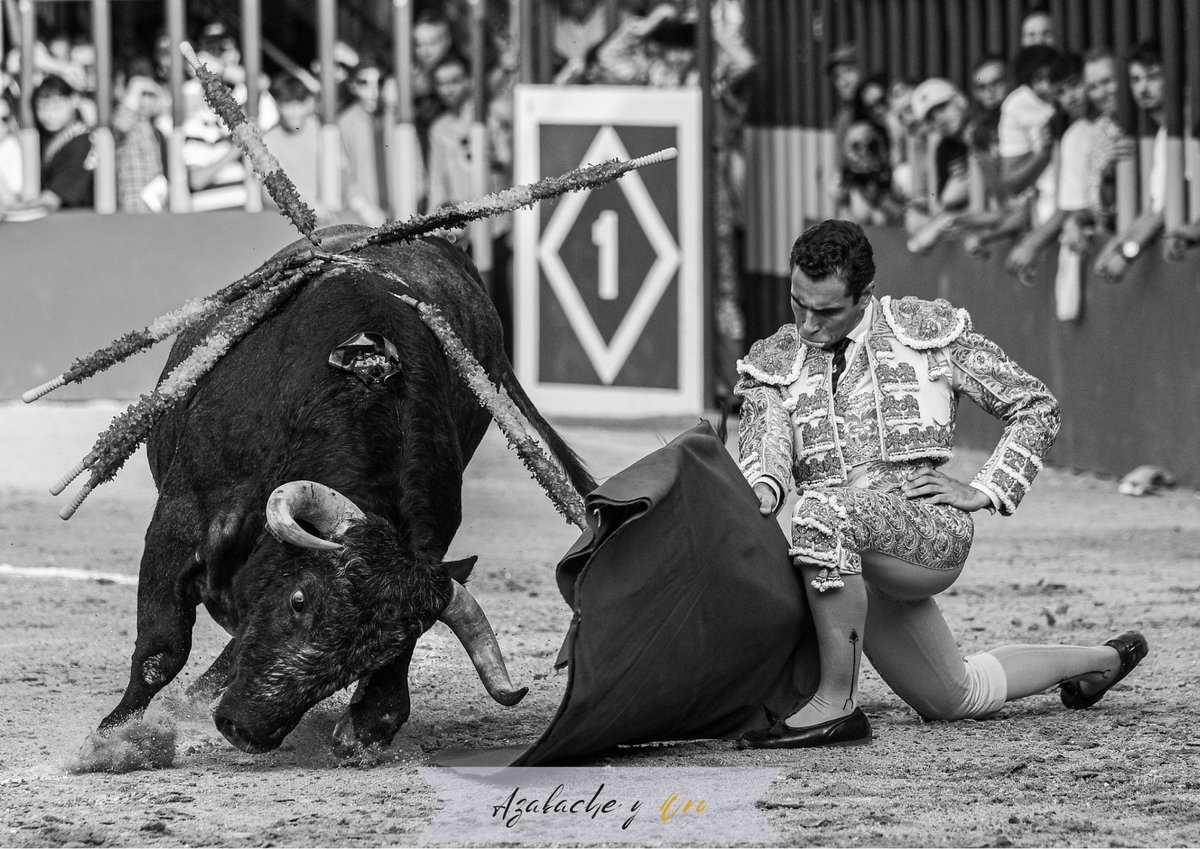 Adrián Centenera <a href="/adriancenteper/">Adrián Centenera</a> con el de Pablo Mayoral <a href="/TorosdePMayoral/">Toros Pablo Mayoral</a> en Arganda del Rey.