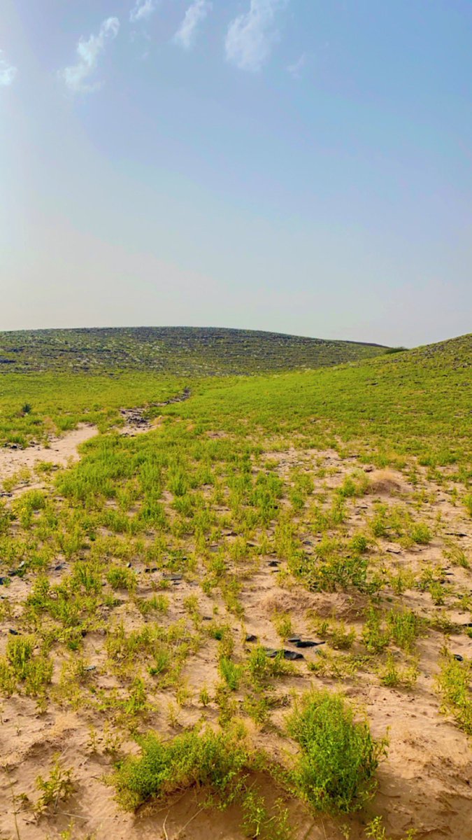 #صوره_من_الاستديو