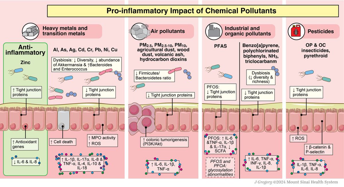 Gut Journal tweet media