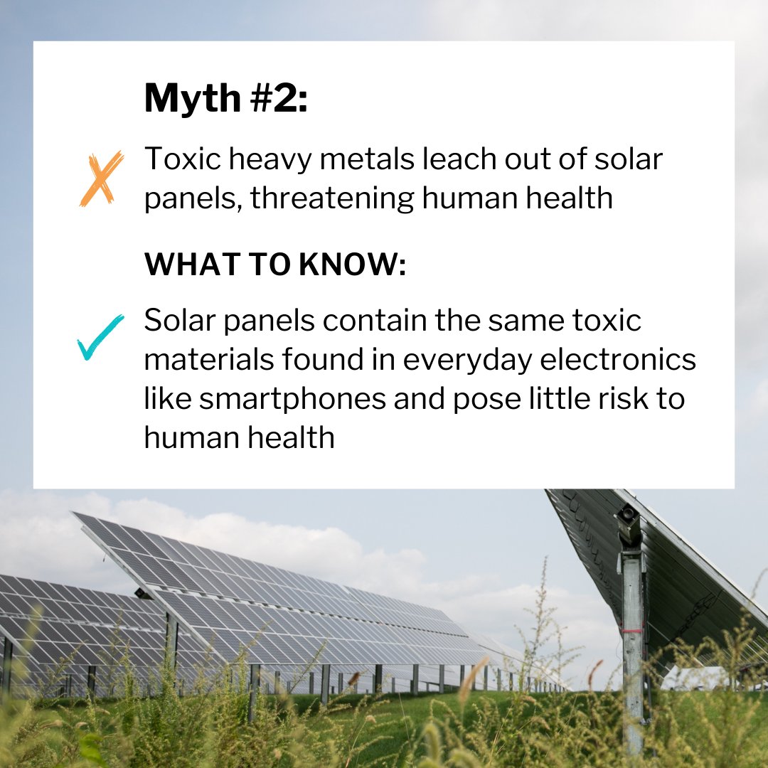 Sun Tribe tweet media