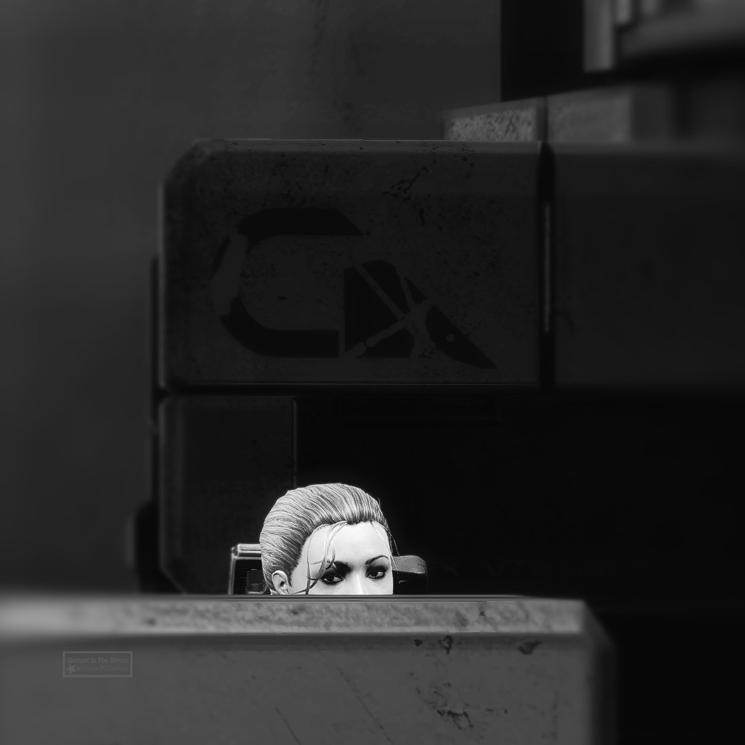 Damsel In The ✰ VP tweet media