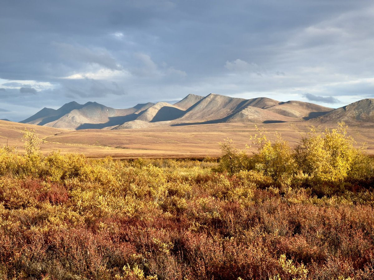DrakeDyckPhoto's tweet photo. My Yukon photo adventure was fantastic, but is coming to an end. Once I get home I’ll have a lot of photos to go through and edit, but here’s a quick one from my iPhone for now. https://t.co/enect1tzyg