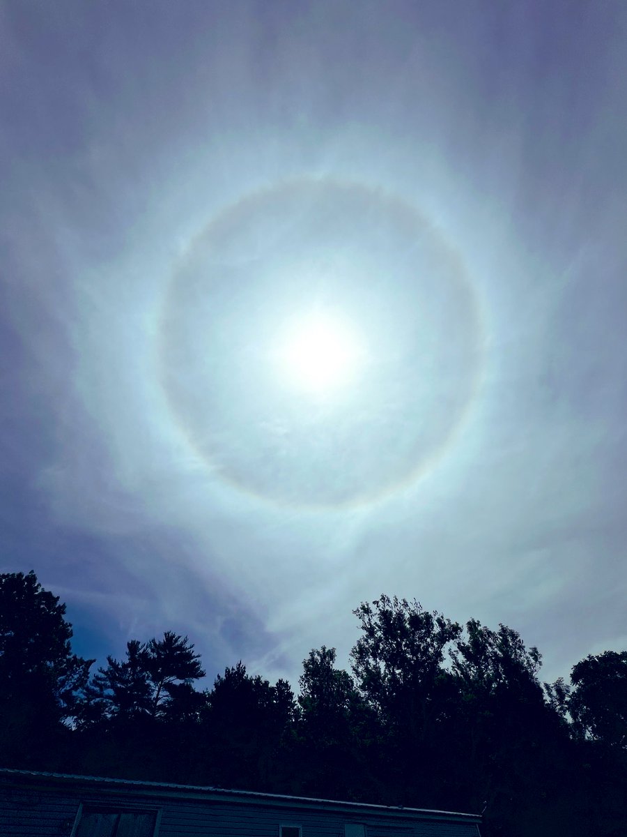summerzagain38's tweet photo. @LeeKush2727 #WonderousWednesday #Sun ✨🌟🌿 https://t.co/vTcQ173Xta
