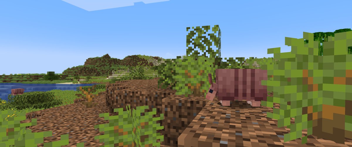 ExDrill_'s tweet photo. The Shrublands, an arid biome riddled with shrubs, flowering shrubs and Armadillos! #Minecraft https://t.co/hQONdRFZeO