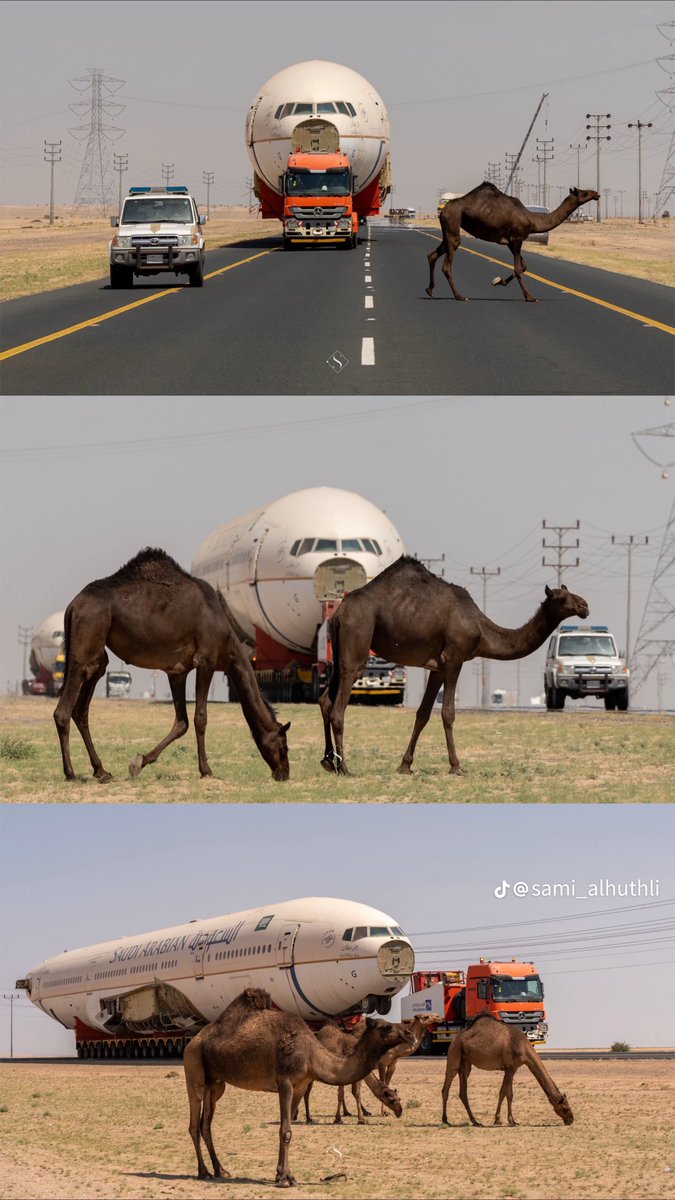 ماجد الجريِّد الشراري tweet media
