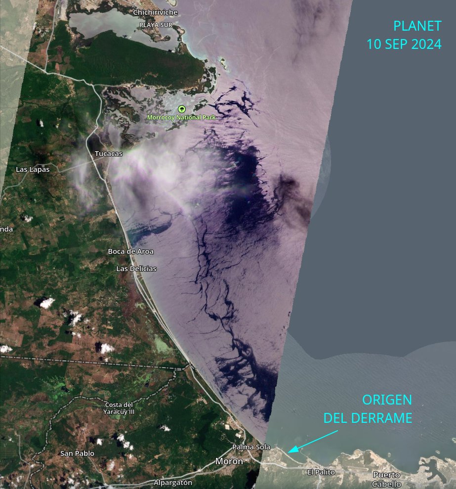 #10Sept Sigue el impacto del fueloil derramado hace un mes por #PDVSA #PlantaCentro sobre Golfo Triste. Esta mancha se extiende hasta #Morrocoy. Se ve como sigue lixiviando el hidrocarburo en la playa de Boca de Aroa. Mientras no recojan el reguero seguirá saliendo al mar.
