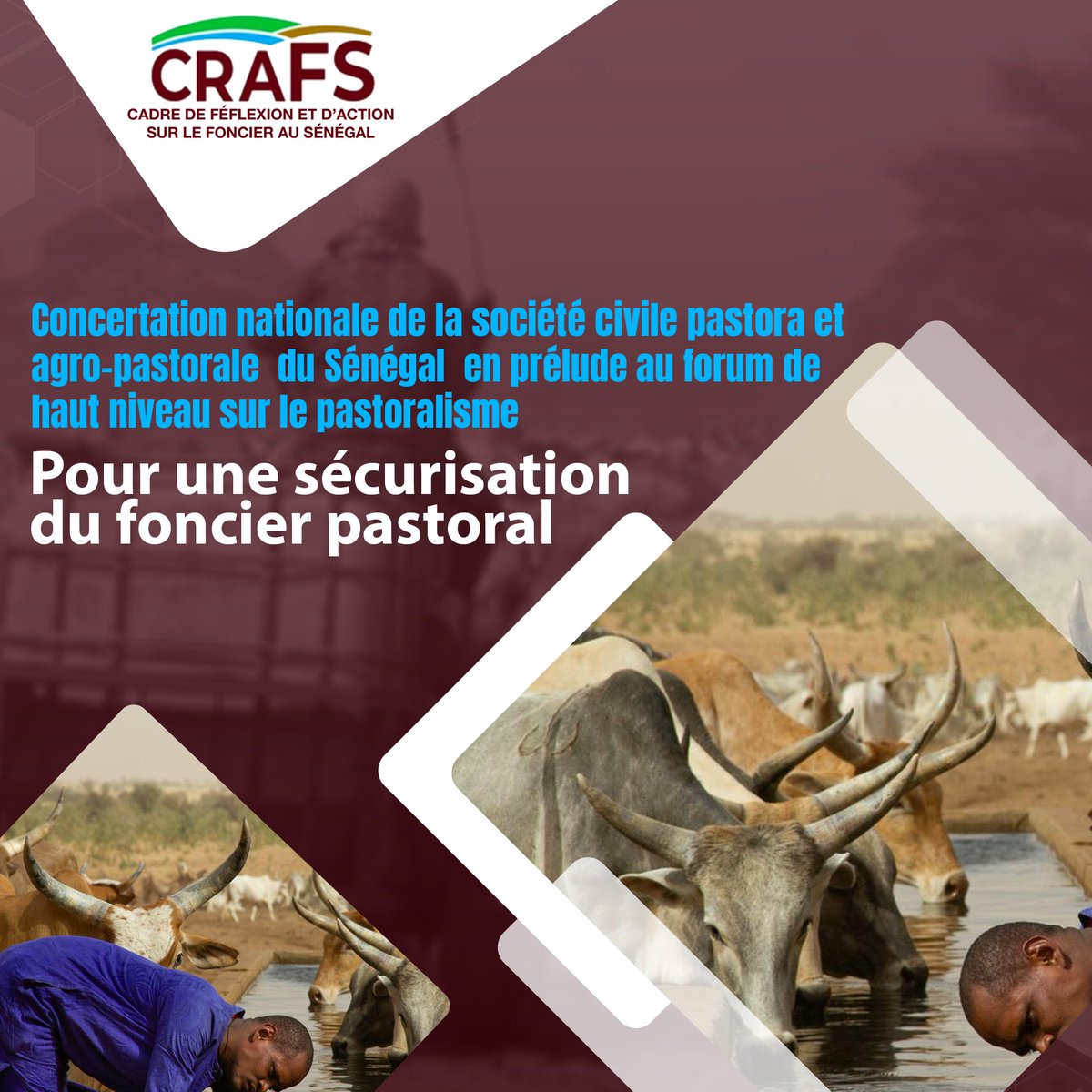 Enda Pronat: Protection naturelle des terroirs (@pronatenda) on Twitter photo Le <a href="/CRAFS_Senegal/">CRAFS</a> mobilise les acteurs de la société civile pastorale et agropastorale pour des concertation sur les défis et enjeux actuels de l'élevage et du pastoralisme au Sénégal.
<a href="/ComiteFoncier/">Comité technique "Foncier & développement"</a> <a href="/AFD_France/">Agence Française de #Développement (AFD) 🇫🇷 🇪🇺</a> <a href="/Gret_ONG/">Gret</a> <a href="/ecowas_agric/">ECOWAS Agriculture</a> <a href="/roppainfo/">ROPPA</a> <a href="/kebetu/">kebetu</a>
#Foncier #pastoralisme Le <a href="/CRAFS_Senegal/">CRAFS</a> mobilise les acteurs de la société civile pastorale et agropastorale pour des concertation sur les défis et enjeux actuels de l'élevage et du pastoralisme au Sénégal.
<a href="/ComiteFoncier/">Comité technique "Foncier & développement"</a> <a href="/AFD_France/">Agence Française de #Développement (AFD) 🇫🇷 🇪🇺</a> <a href="/Gret_ONG/">Gret</a> <a href="/ecowas_agric/">ECOWAS Agriculture</a> <a href="/roppainfo/">ROPPA</a> <a href="/kebetu/">kebetu</a>
#Foncier #pastoralisme