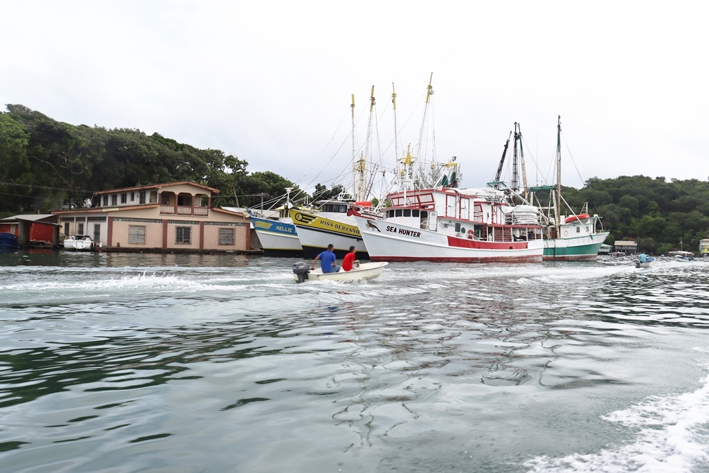 MuniGuardiola's tweet image. Boat ride through the fishing village of Oak Ridge, Santos Guardiola, Bay Islands of Honduras. 
#OakRidge  #SantosGuardiola  #RoatanEastEnd  #BayIslands #Honduras #Roatan #ThePristineSideOfParadise