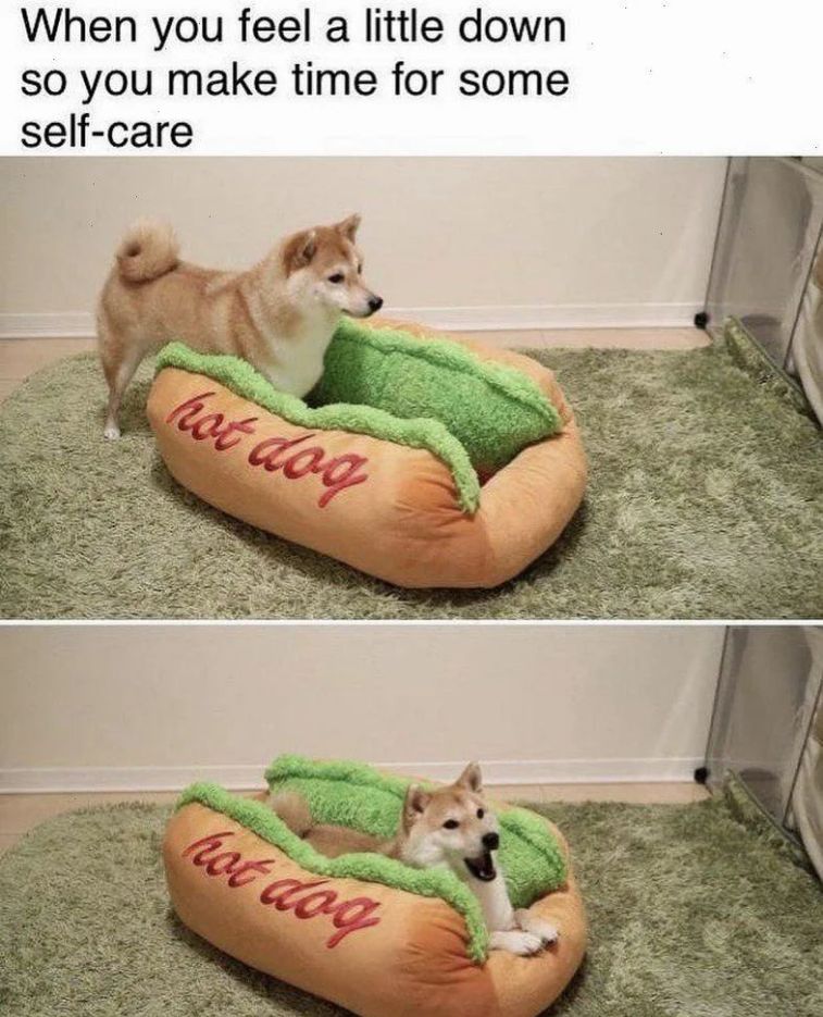 WholesomeMeme's tweet photo. https://t.co/5qPkSzWFcf