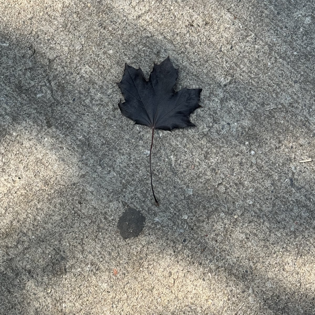 I’m with Pulp tweet media