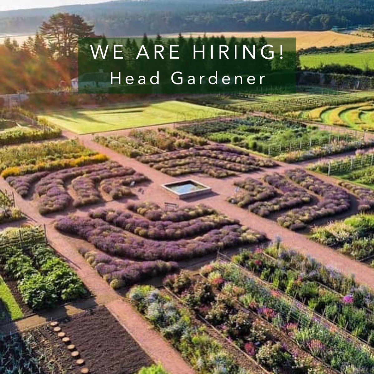After 10 wonderful years our Head gardener is moving on to design work so we are looking for an experienced and enthusiastic head gardener to inspire and drive the garden forward - please see our website for details and share with gardeners you think maybe interested. Thank you