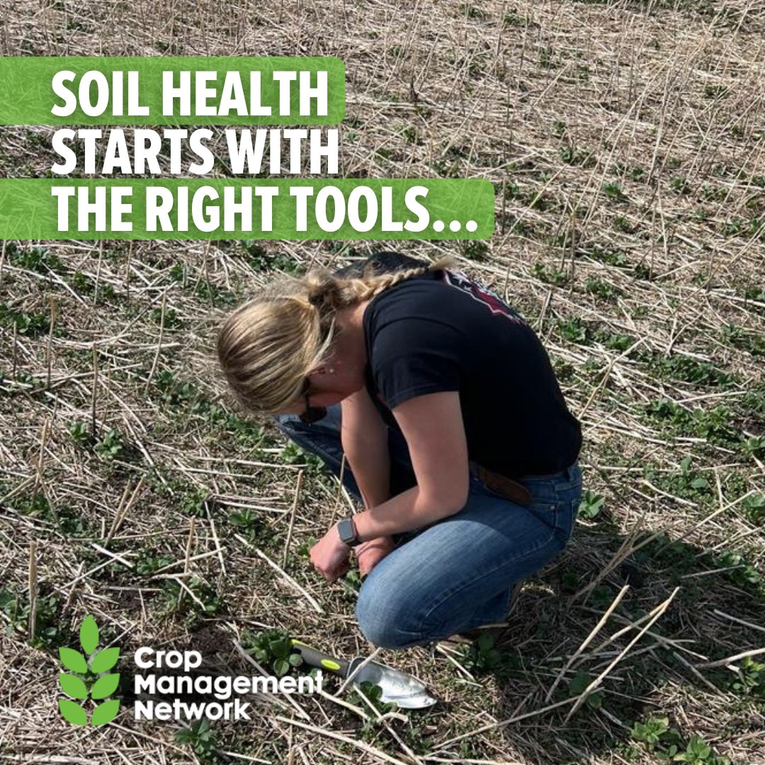 Cropmgmtnetwork's tweet photo. Ever wanted to dig deeper into soil health but found yourself lost in a sea of indicators and measurements? We hear you! 🌱

Get ready to take your soil game to the next level and sample with success. Talk to your local CMN ag retail location to learn more about:
✅Soil Sample Collection
✅Laboratory Parameters
✅Submission Information 
✅Reporting Guidance
✅Results & Interpretation

#soilhealth #sustainability #westcdnag #canadianfarmers #albertaag #albertafarmers #ag