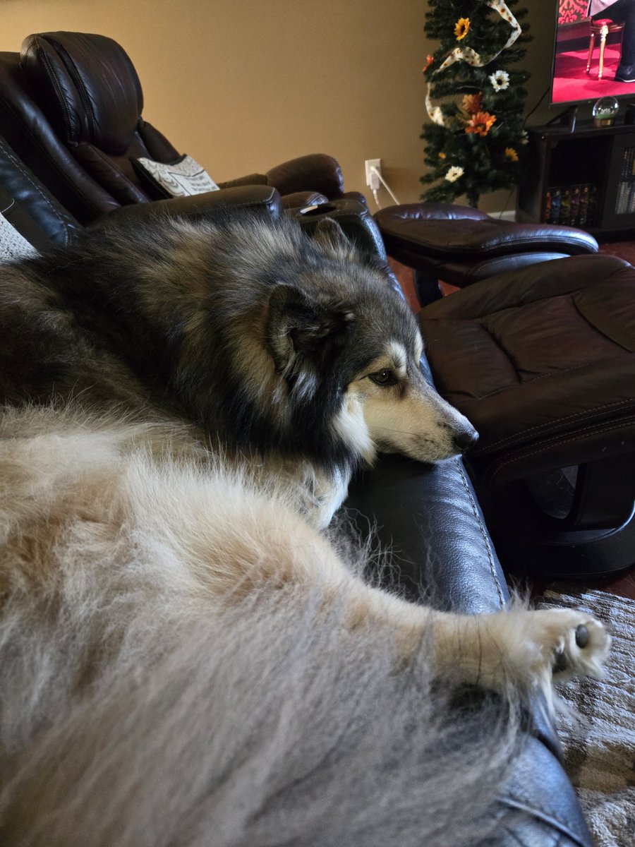 Kristyna Ferris (Hughes) tweet media