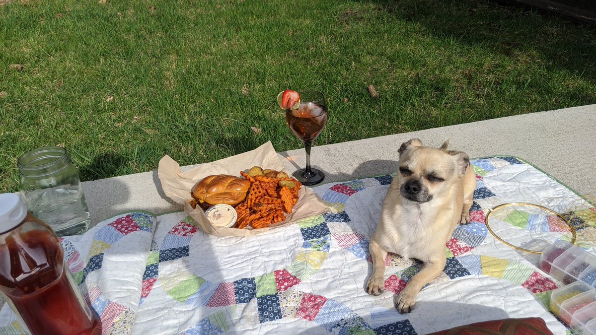 Keely_mes's tweet photo. @figgled Idk if this is actually your dog but is he from Oregon by chance? I might have his brother 😂 https://t.co/Q19aayZcJO