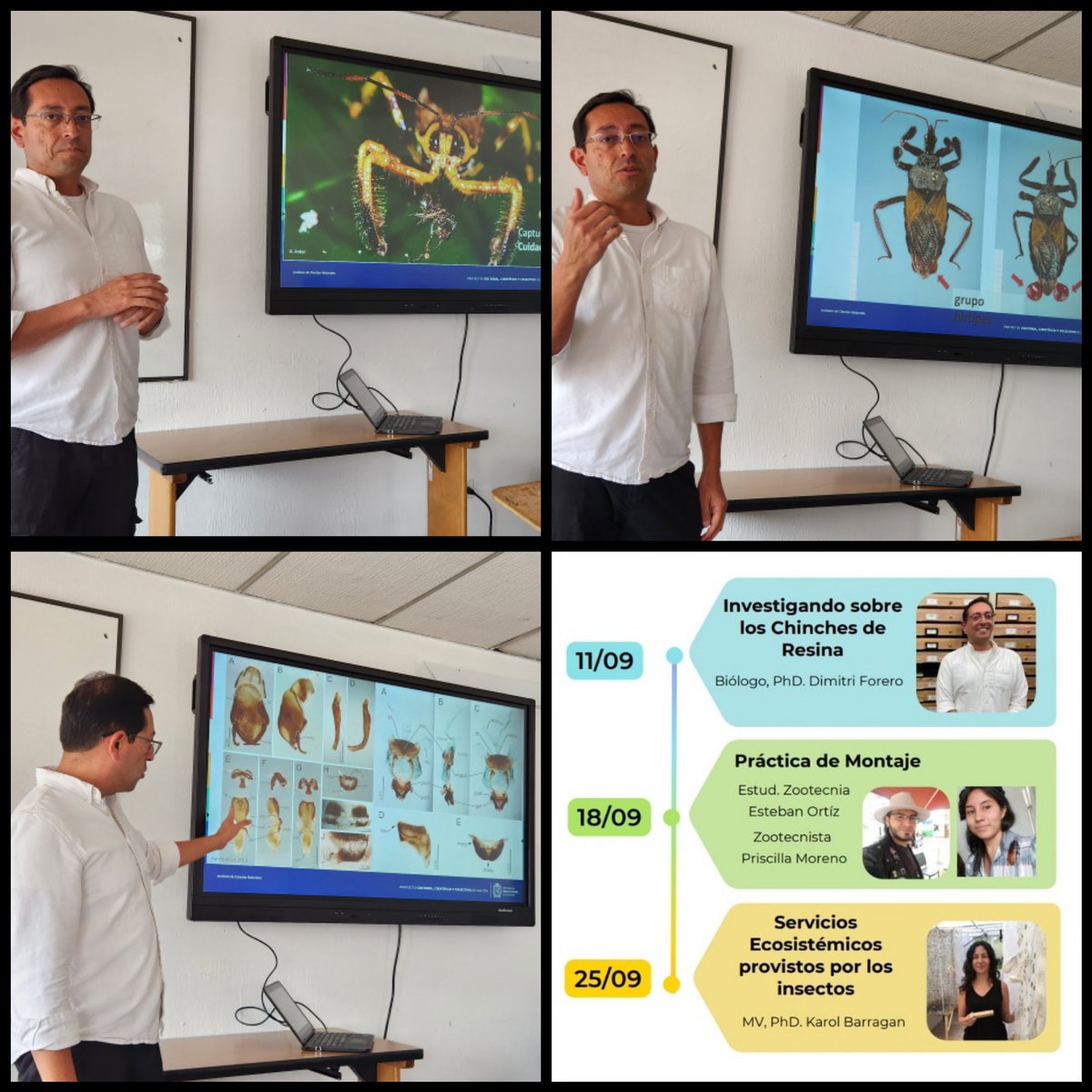 Karol Barragán🍃 (@karol_barrafon) on Twitter photo Join the <a href="/CINATInsectario/">CINAT Insectario</a> to learn about insects, their history, applications, and importance in agroecological systems and ecosystems through talks and practical sessions. Today, we had Prof. <a href="/dimitriforero/">Dimitri Forero | dimitriforero.bsky.social</a> presenting his research on resin bugs! 🪲🌱 #InsectScience #OrgulloUNAL Join the <a href="/CINATInsectario/">CINAT Insectario</a> to learn about insects, their history, applications, and importance in agroecological systems and ecosystems through talks and practical sessions. Today, we had Prof. <a href="/dimitriforero/">Dimitri Forero | dimitriforero.bsky.social</a> presenting his research on resin bugs! 🪲🌱 #InsectScience #OrgulloUNAL
