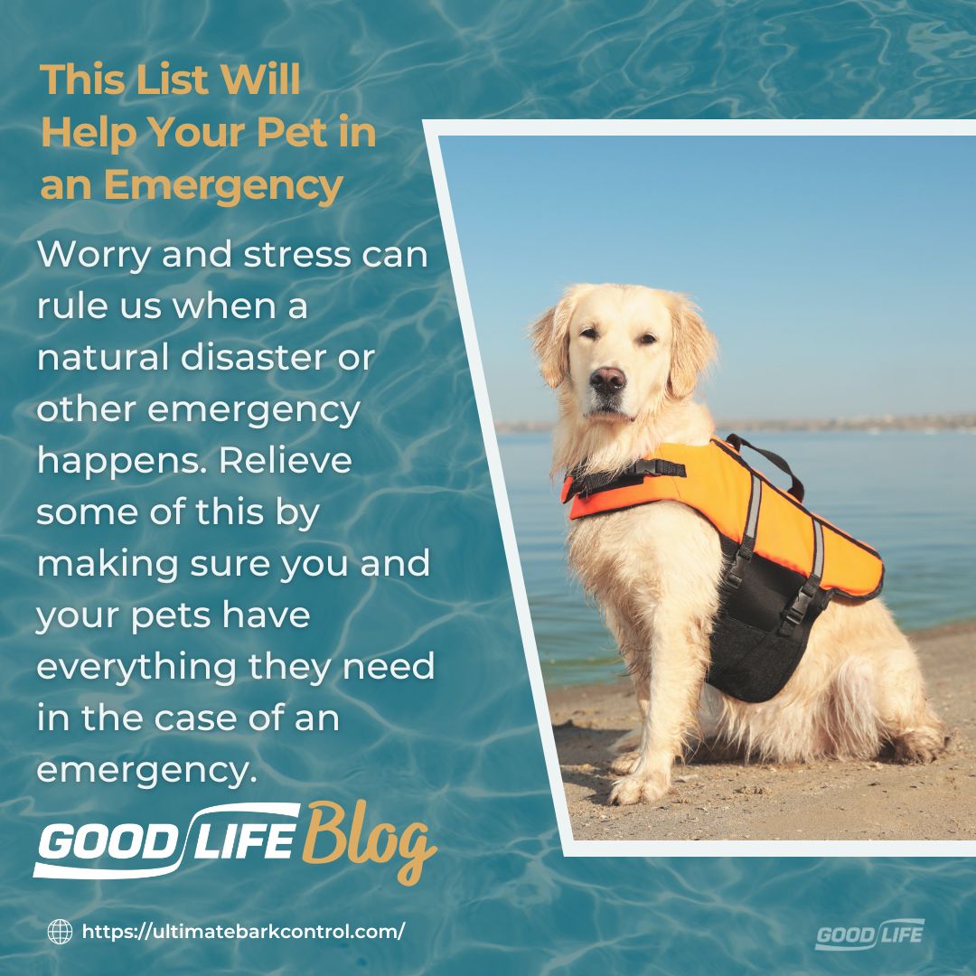 shopgoodlifeinc's tweet image. Be prepared, pet parents! Ensure your furry friends are safe during emergencies. From a pet emergency kit to a safe haven plan, let’s keep our loved ones secure. ❤️🐶🐱

☝️Link in bio for full blog

#goodlifeinc #dog #dogblog #pet #blog #petsafety