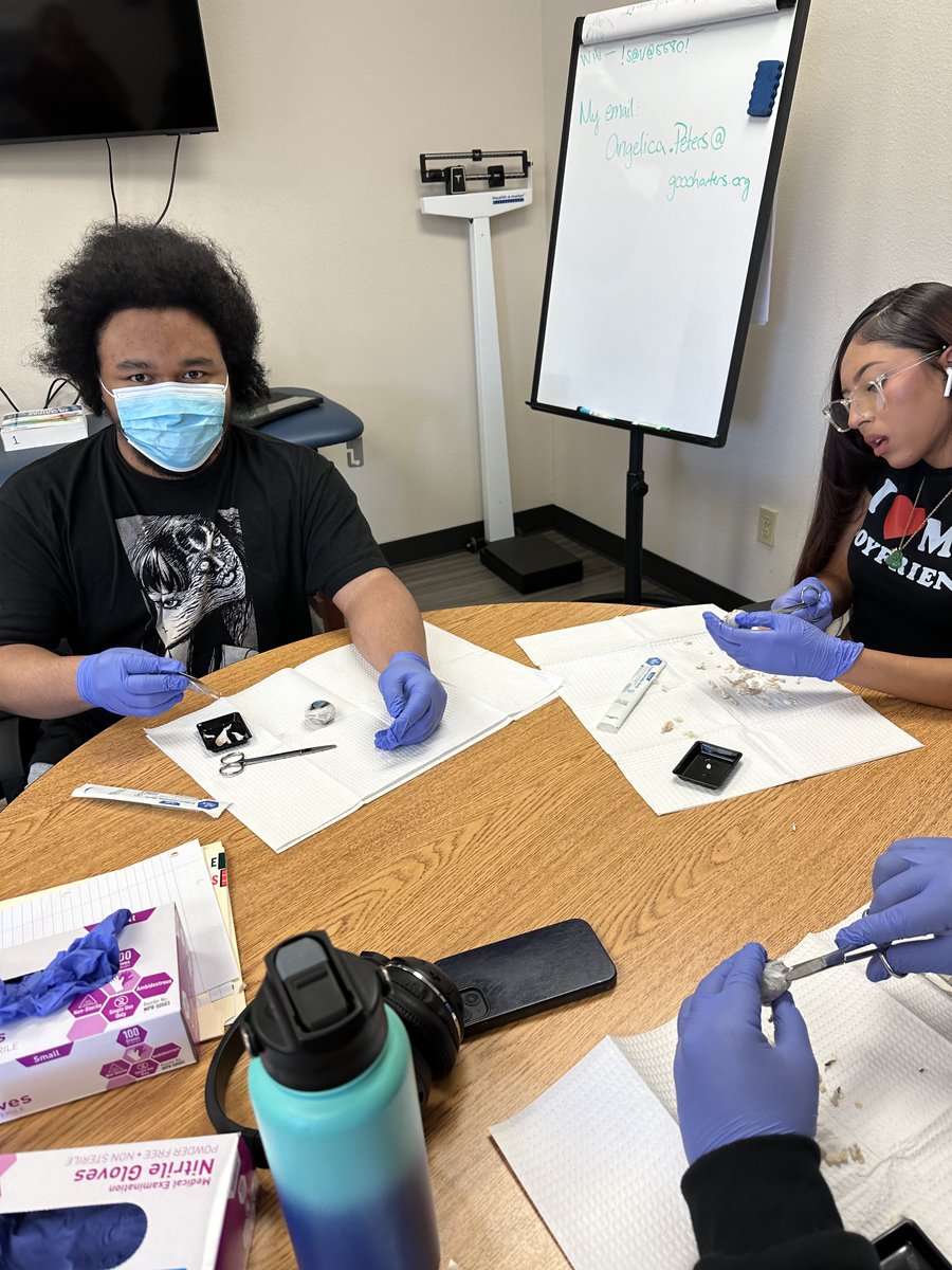 SAVA_Charter's tweet image. Eye see you, dissecting those skills! 👁️
Last week, Patient Care pathway Sabercats disected eyeballs. 
#savacharter #gcccharters #gcc_teamup #loveteachguide #elevateourimpact @gcc_charters