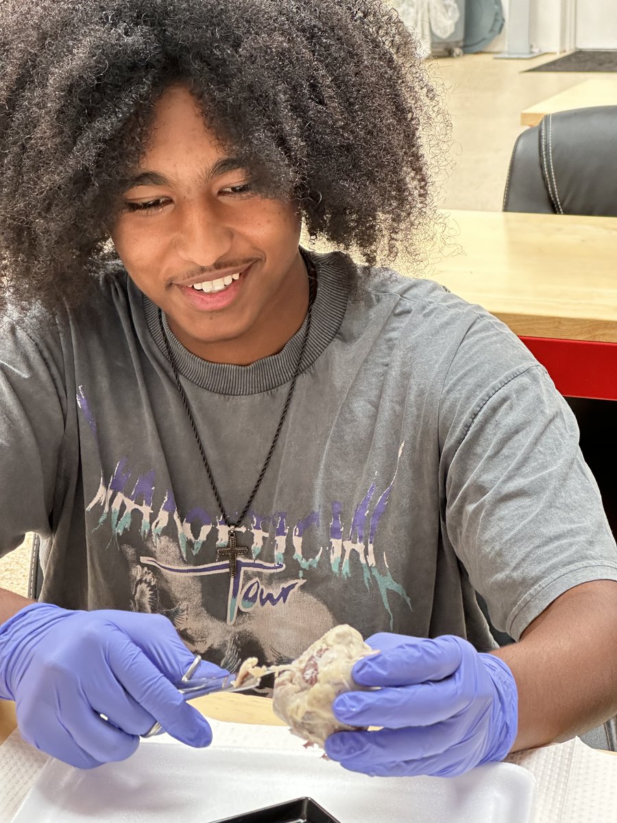 SAVA_Charter's tweet image. Eye see you, dissecting those skills! 👁️
Last week, Patient Care pathway Sabercats disected eyeballs. 
#savacharter #gcccharters #gcc_teamup #loveteachguide #elevateourimpact @gcc_charters