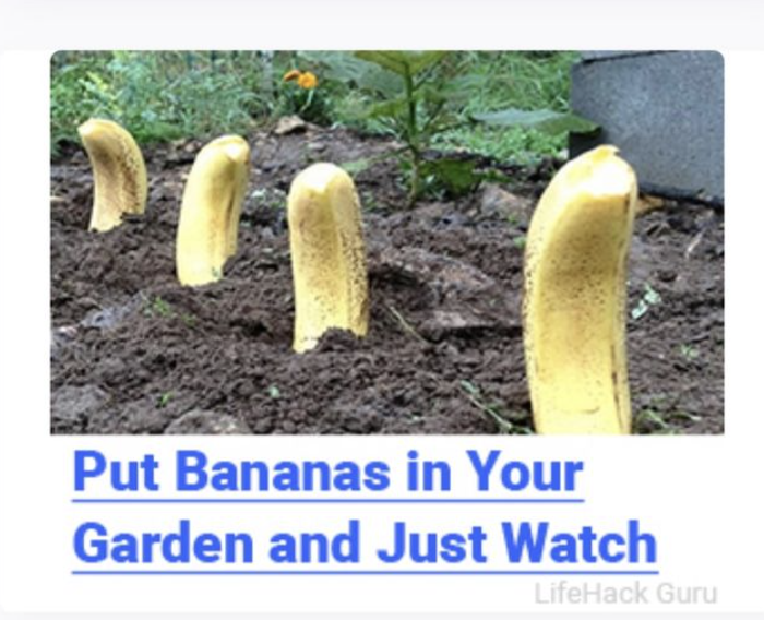 I feel like that would get boring, no?