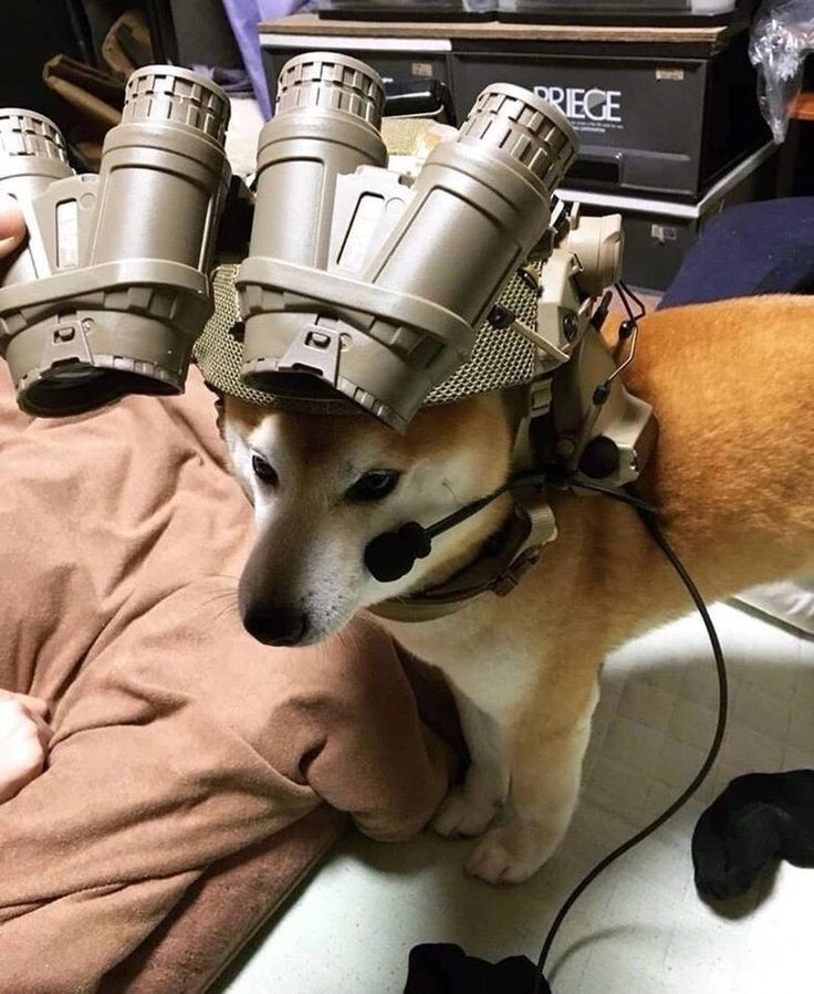 ✮ ✪ ✮jack ✮ (@ano_r0l) on Twitter photo 