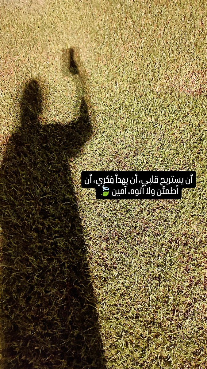 🌷🌷